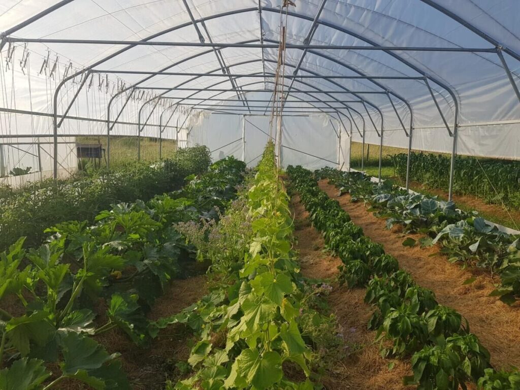 Foto: Stefan Kreiner