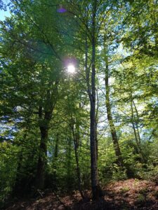 Foto: Margit Huber