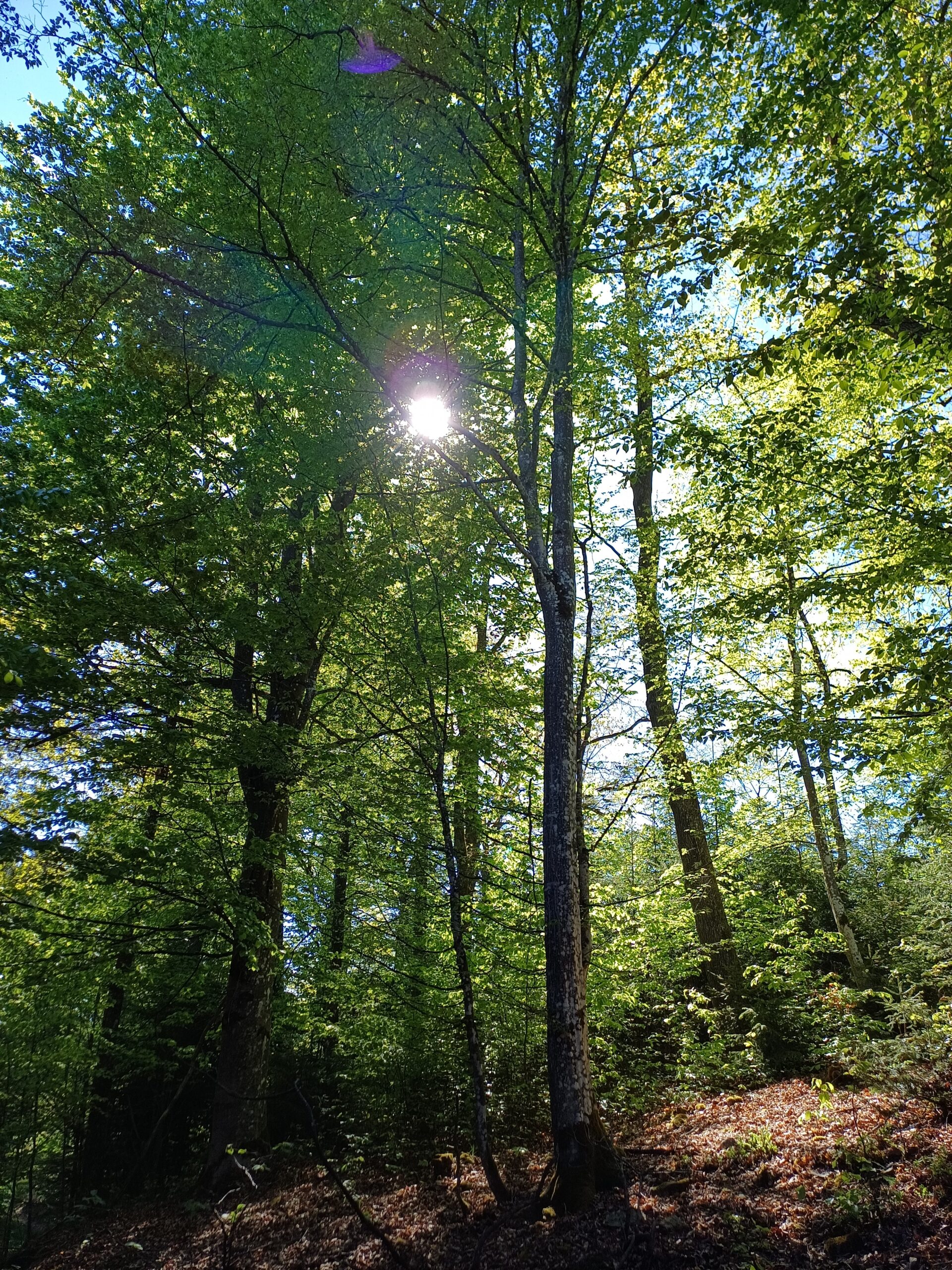 Foto: Margit Huber